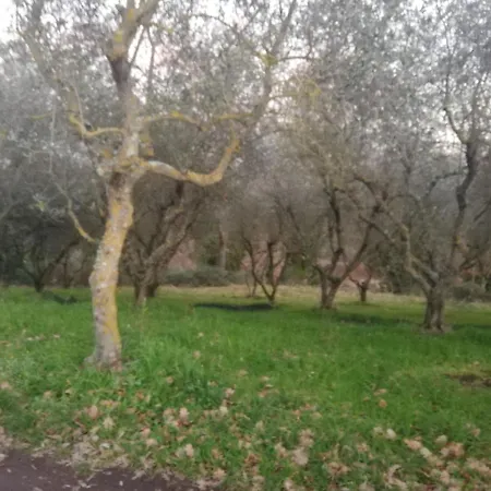 Casale Di Campagna Nyaraló *